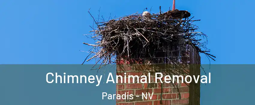 Chimney Animal Removal Paradis - NV