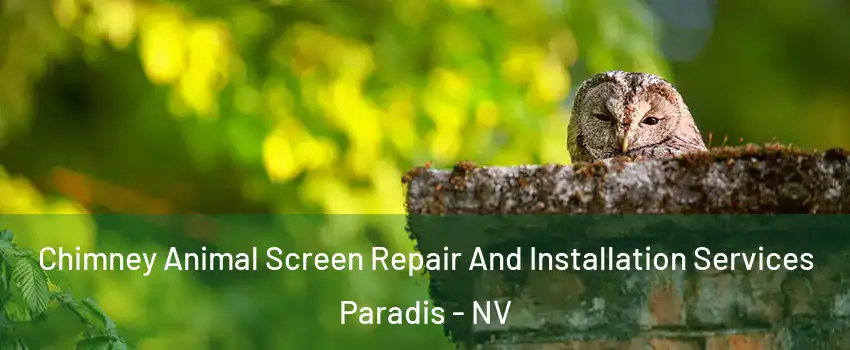 Chimney Animal Screen Repair And Installation Services Paradis - NV