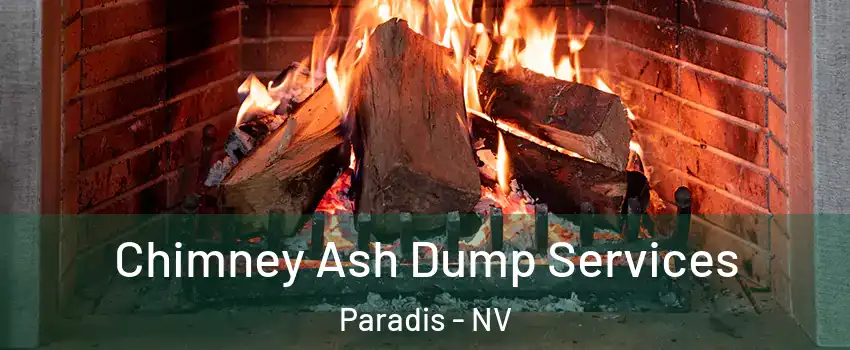 Chimney Ash Dump Services Paradis - NV
