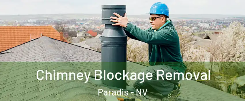 Chimney Blockage Removal Paradis - NV