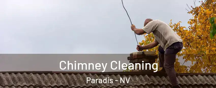 Chimney Cleaning Paradis - NV
