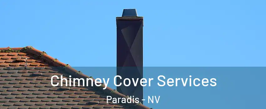 Chimney Cover Services Paradis - NV