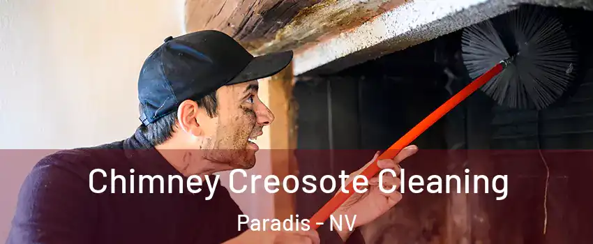 Chimney Creosote Cleaning Paradis - NV