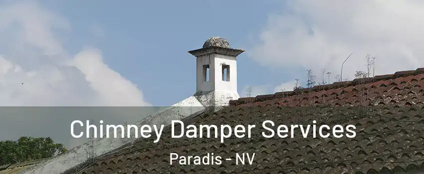 Chimney Damper Services Paradis - NV