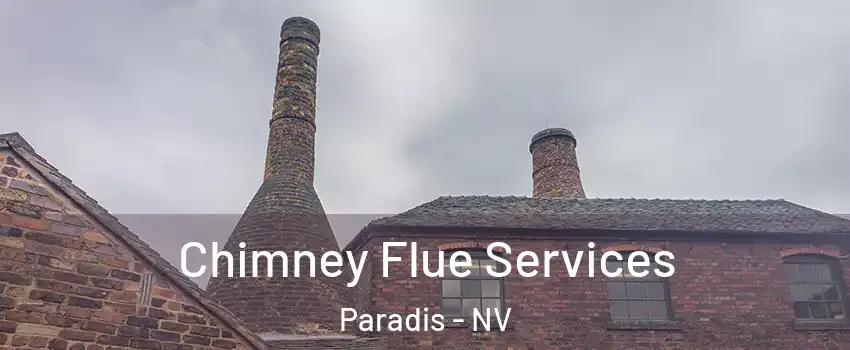 Chimney Flue Services Paradis - NV