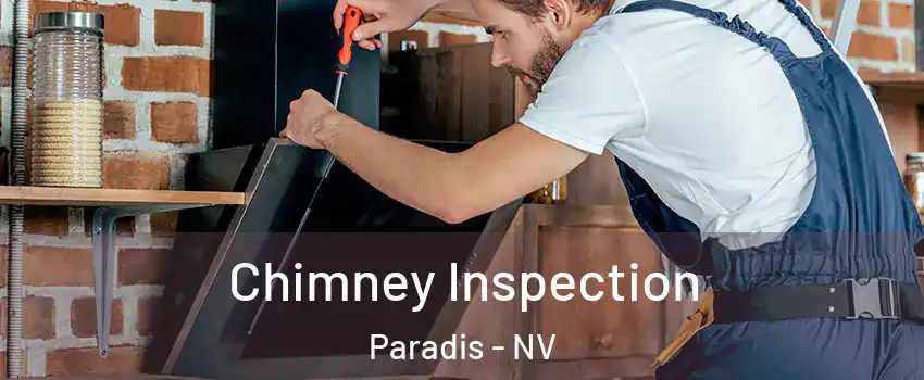 Chimney Inspection Paradis - NV