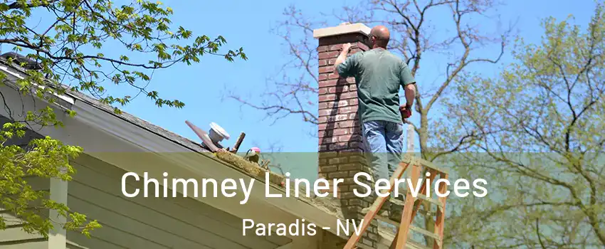 Chimney Liner Services Paradis - NV