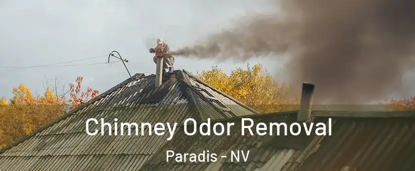 Chimney Odor Removal Paradis - NV