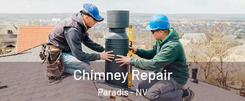 Chimney Repair Paradis - NV