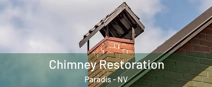 Chimney Restoration Paradis - NV