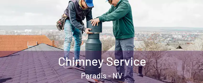 Chimney Service Paradis - NV