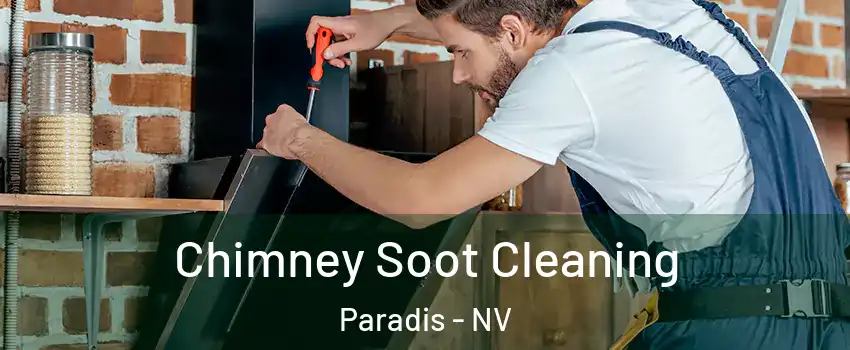 Chimney Soot Cleaning Paradis - NV