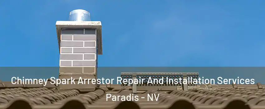 Chimney Spark Arrestor Repair And Installation Services Paradis - NV