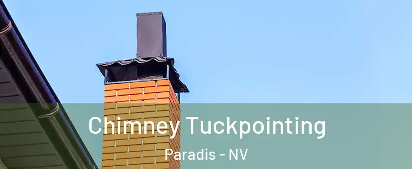 Chimney Tuckpointing Paradis - NV