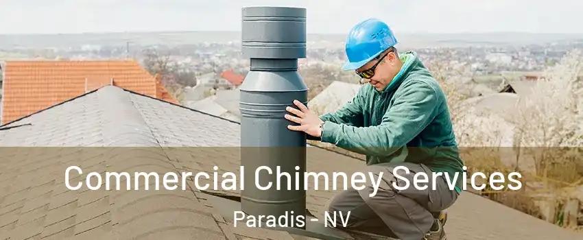 Commercial Chimney Services Paradis - NV