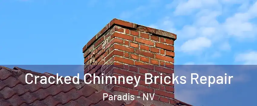 Cracked Chimney Bricks Repair Paradis - NV