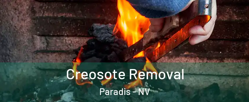 Creosote Removal Paradis - NV
