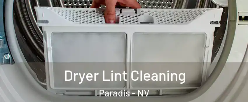 Dryer Lint Cleaning Paradis - NV
