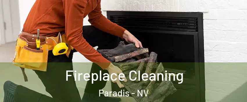 Fireplace Cleaning Paradis - NV