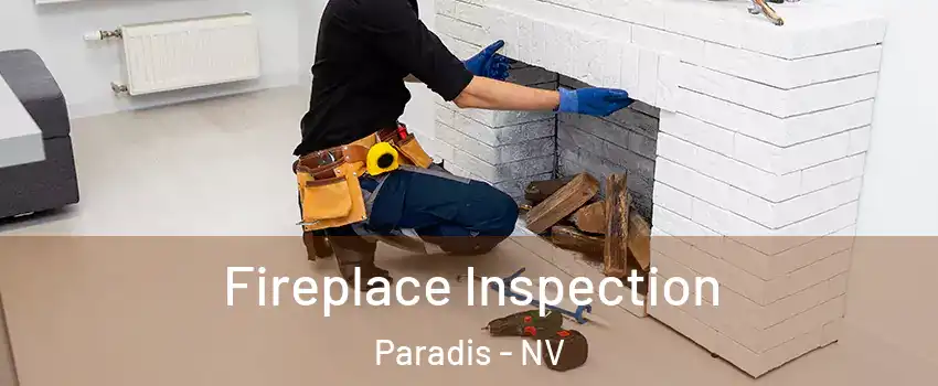 Fireplace Inspection Paradis - NV