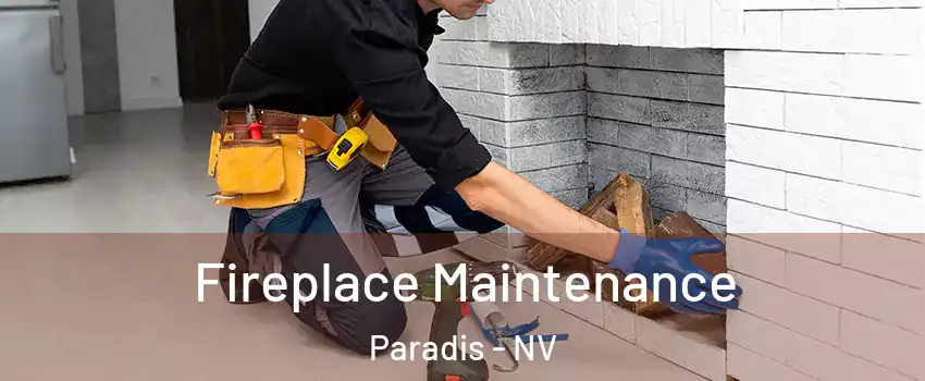 Fireplace Maintenance Paradis - NV