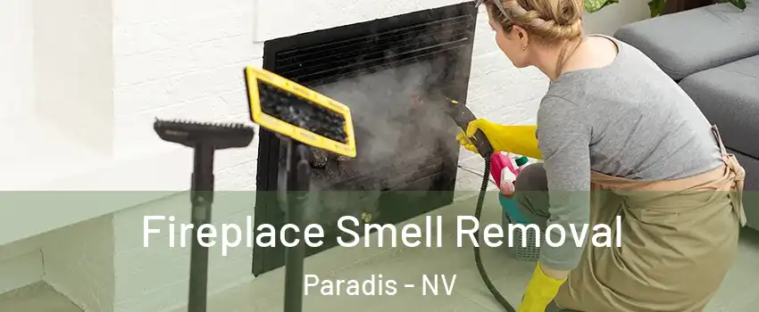 Fireplace Smell Removal Paradis - NV