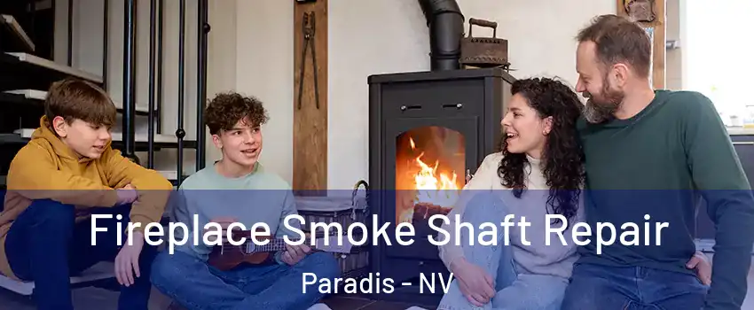 Fireplace Smoke Shaft Repair Paradis - NV