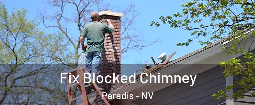 Fix Blocked Chimney Paradis - NV