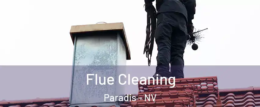 Flue Cleaning Paradis - NV