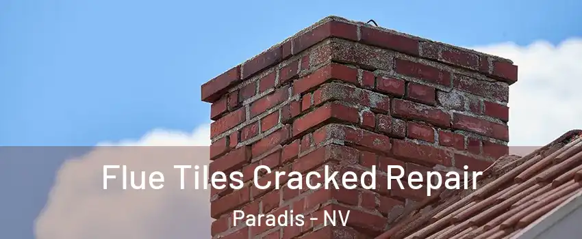 Flue Tiles Cracked Repair Paradis - NV
