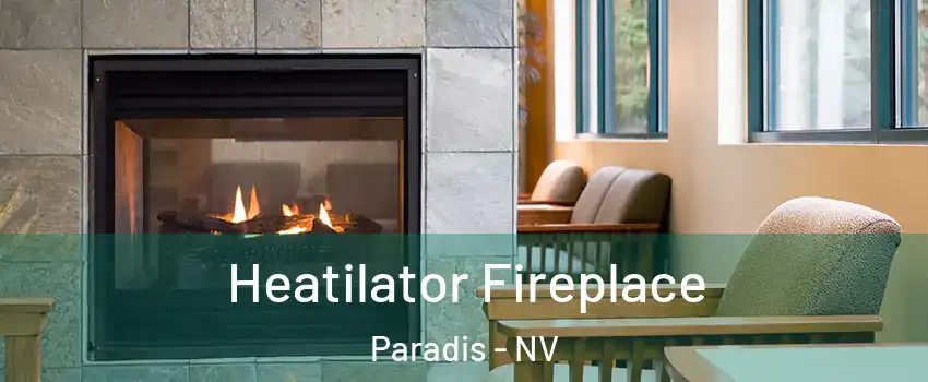 Heatilator Fireplace Paradis - NV