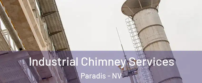 Industrial Chimney Services Paradis - NV
