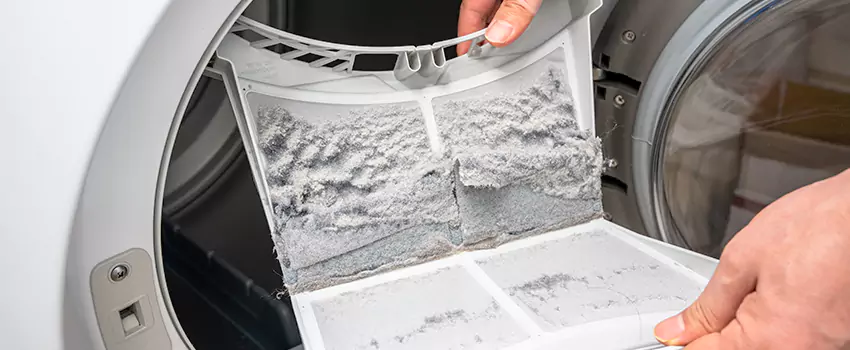 Best Dryer Lint Removal Company in Paradis, Nevada