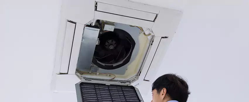 Benefits of Professional Air Duct Cleaning in Paradis, Nevada