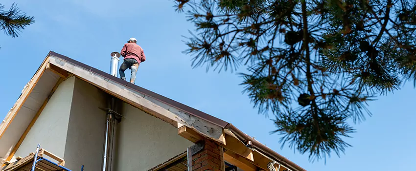 Birds Removal Contractors from Chimney in Paradis, NV