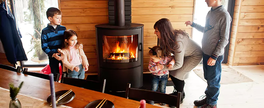 Jøtul Gas Fireplace Inspection Service in Paradis, Nevada