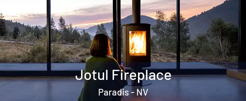Jotul Fireplace Paradis - NV