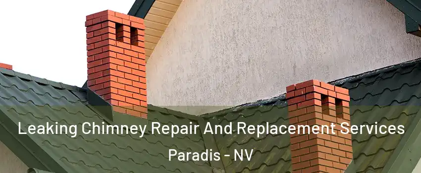 Leaking Chimney Repair And Replacement Services Paradis - NV