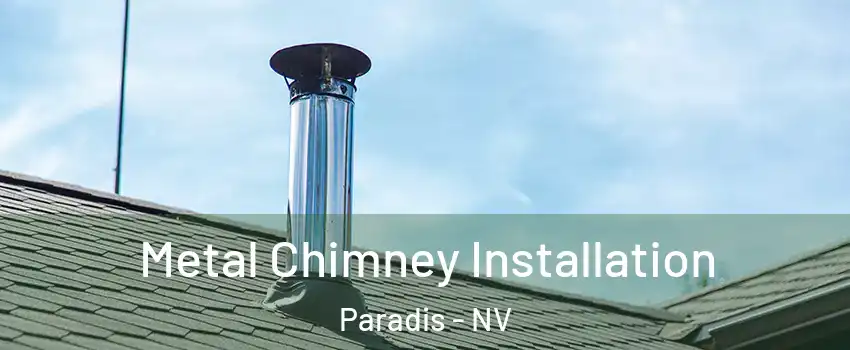 Metal Chimney Installation Paradis - NV
