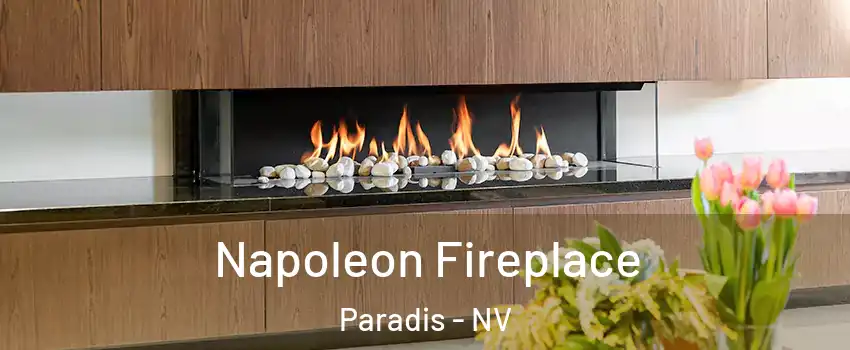 Napoleon Fireplace Paradis - NV
