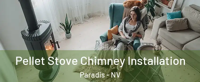 Pellet Stove Chimney Installation Paradis - NV