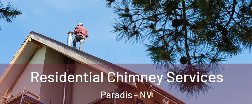 Residential Chimney Services Paradis - NV