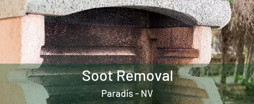 Soot Removal Paradis - NV