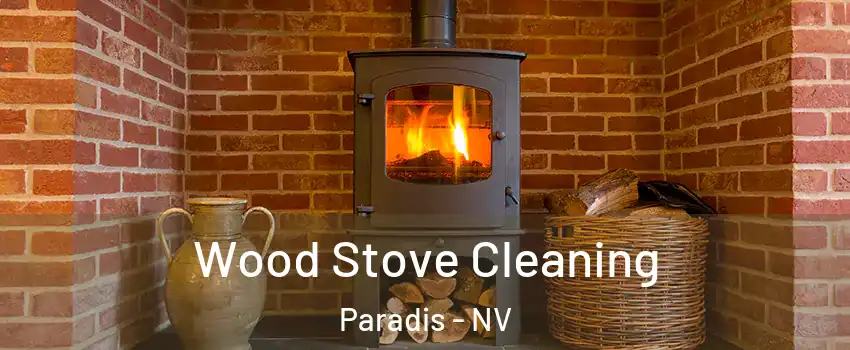 Wood Stove Cleaning Paradis - NV