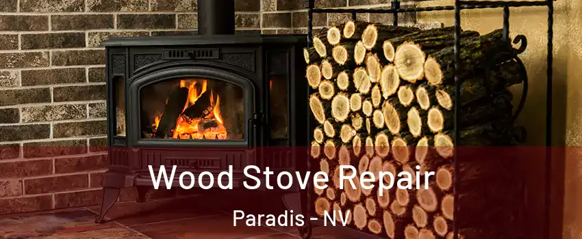 Wood Stove Repair Paradis - NV